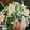 ゆかまま♡'s cooksnap of when they made スモークサーモンとかいわれのマヨサラダ♪.