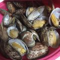 じじばばな私's cooksnap of when they made レンジでチンするあさりの酒蒸し.