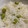 凡閣下's cooksnap of when they made 簡単♪秋の豆ごはん♪～枝豆ごはん～.
