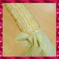 ＊菜々子＊'s cooksnap of when they made レンジでちん！簡単甘〜いトウモロコシ！.