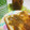 Shuncha's cooksnap of when they made とろ～り梅ジャム.
