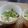 ヨッシー915's cooksnap of when they made 鮭きのこ丼.