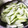 ﾋﾟｮﾝｺ's cooksnap of when they made 白芋の茎の下拵え.