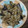 ﾁｬﾝゆず's cooksnap of when they made ウェイパーで簡単　豚肉と茄子の中華炒め　.