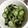 クックANLLO1☆'s cooksnap of when they made 適当なのに美味しい！きゅうりの漬け物？.