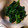 あかぷり's cooksnap of when they made 簡単※あと１品副菜ほうれん草のごまあえ♪.