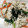 syrup127g's cooksnap of when they made ほうれん草の白和え。.