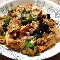 ぷちふーる's cooksnap of when they made なす・ピーマン・豚肉の味噌炒め.