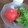 ナウちゃん's cooksnap of when they made トマトの皮のむき方.