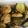 くにぴゆりぴのマミー's cooksnap of when they made 鳥と茄子の煮浸し.
