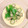 蒼の雫sp's cooksnap of when they made オクラの冷製茶碗蒸し.