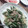 ちぃママ☆ミ's cooksnap of when they made いんげんと豚肉の塩炒め.