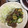 ジャバウォック's cooksnap of when they made 豚とズッキーニの生姜焼き.