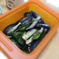ともぱんたから's cooksnap of when they made レンジで簡単なすの薬味ソース.