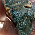 a_ya_mi's cooksnap of when they made 旦那さんも大好き!カレイの煮付け.