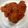 さとみにぃ～'s cooksnap of when they made スペアリブのトマトソース煮込み.