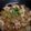 クック48GMXJ☆'s cooksnap of when they made 豚コマと大根の とろとろあんかけ.