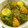 由芽15's cooksnap of when they made ズッキーニと厚揚げの煮物.