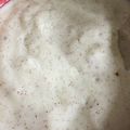 きむわ's cooksnap of when they made キウイ＆ヨーグルト☆シャーベット！.