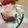 morio28's cooksnap of when they made ☆七夕に…丸ごとトマトサラスパサラダ☆.