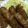 zyunya1245's cooksnap of when they made 簡単!!ご飯がすすむ肉巻き.