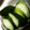 のぶなお７'s cooksnap of when they made 胡瓜のからし漬け—これとこれがあったなら.
