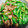 adorer's cooksnap of when they made 牛肉とししとうの炒めもの.
