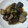 yoama's cooksnap of when they made ルクエで簡単！さっぱり茄子の揚げ浸し.