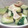 みっくママ's cooksnap of when they made アボガドとささみの梅和え.