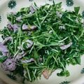 キティ真知子's cooksnap of when they made 3分クック♪豚肉と豆苗のサラダ.