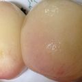 うずしろ's cooksnap of when they made 桃のコンポート.