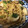 nothree's cooksnap of when they made 蕪と蕪の葉とピーマンの梅肉和風パスタ.