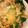 ☆しばねこ☆'s cooksnap of when they made ぶたとほうれん草のマスタードソテー☆.