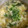 kami_yu's cooksnap of when they made 簡単！ふわふわたまごスープ☆.