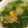 liarra's cooksnap of when they made ほうれん草のスープ　給食.