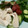 masumin110's cooksnap of when they made しっとり柔らかささみと若布胡瓜の梅ぽん酢.