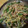 tetsu0120's cooksnap of when they made 豚肉とにらのもやし炒め.