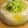 shimaru's cooksnap of when they made 塩ラーメンのゼリー寄せ.