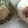 新米嫁　ともぞう's cooksnap of when they made 生春巻き2種♡梅マヨとピリ辛タレでご馳走.