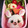 虎ケイ's cooksnap of when they made 幼稚園 お弁当 キャラ弁♡モフィちゃん.