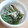 めけめけあろは's cooksnap of when they made ＊小松菜のごまマヨ和え＊.