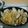 チャペ子's cooksnap of when they made 簡単、ホンビノス貝(大アサリ)のボンゴレ.