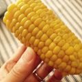 みほきのこ's cooksnap of when they made 超簡単☆活力鍋で蒸しトウモロコシ.