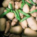 たくの母ちゃん's cooksnap of when they made 里芋と鶏肉の煮物.