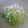 サーフブレイド's cooksnap of when they made 簡単　長ネギのみじん切り.