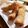 さえきち♪'s cooksnap of when they made 手作り春巻きの皮.