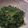 トレピアンテ's cooksnap of when they made 大根葉の切り味噌和え.