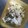 tamakisara's cooksnap of when they made 梅と新しょうがの炊き込みごはん.