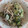 ☆☆sari☆☆'s cooksnap of when they made * もやしときゅうりの中華風和え *.