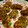 さぁ★たぁ★'s cooksnap of when they made おくらと納豆の豆腐落とし揚げ.